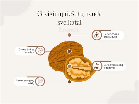 Graikinių riešutų nauda sveikatai