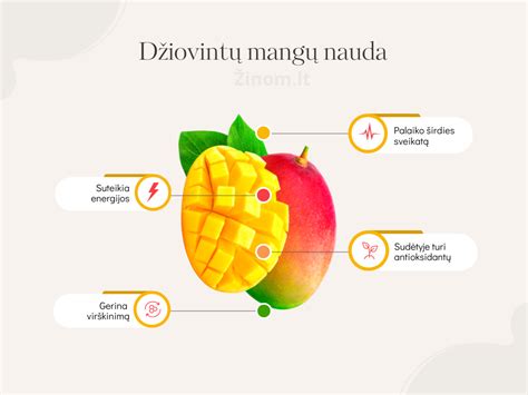 Mango nauda sveikatai infografika