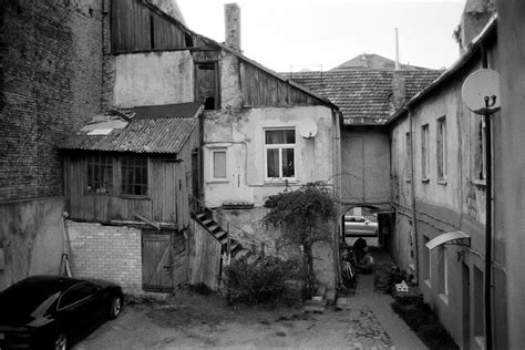 Juodojo ridiko nuotrauka