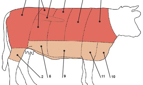 Žvėrienos mėsos gabaliukai marinuojami