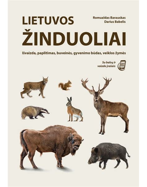 Lenkiško baravyko išvaizda