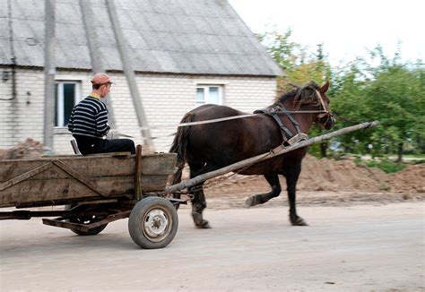 Romų tradicinis vežimas