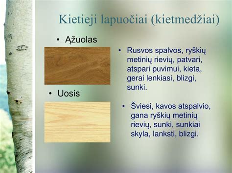 Įvairios statybinės medienos rūšys