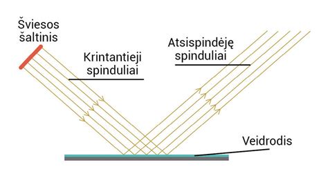 Toliaregystės schema: kaip šviesos spinduliai fokusuojasi už tinklainės