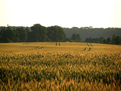 Tvari žemdirbystė ir prieskonių auginimas