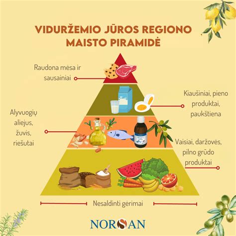 įvairių Viduržemio jūros regiono džiovintų žolelių ir prieskonių kompozicija