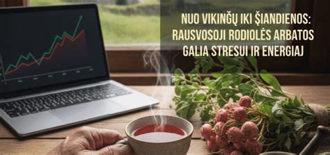 Infografika apie rausvosios rodiolės teikiamą naudą organizmui