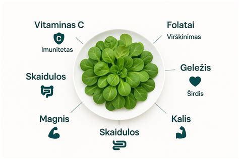Aštuonkojo mitybinė vertė ir nauda sveikatai