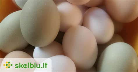 Švieži kiaušiniai dubenyje