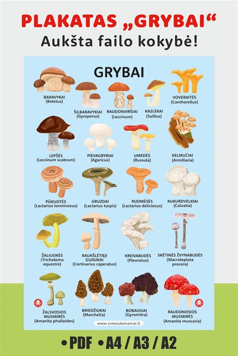 Nuodingų grybų atpažinimas