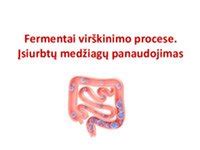 Virškinimo proceso schema ir maisto medžiagų skaidymas