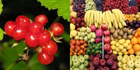 Šviežios uogos ir vaisiai papuošimui