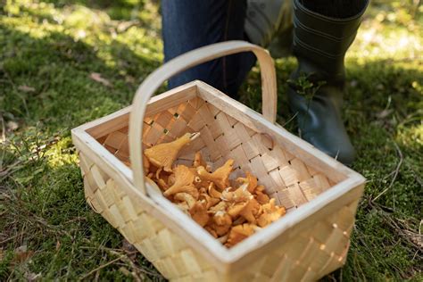 Grybų ir moliūgų košės nuotrauka