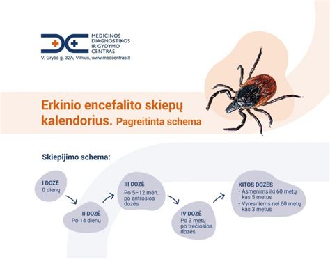 Erkinio encefalito simptomai infografikoje