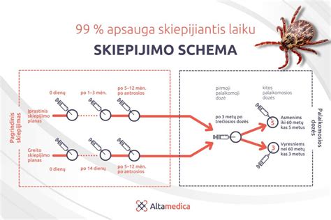 Erkinio encefalito vakcinavimo schema