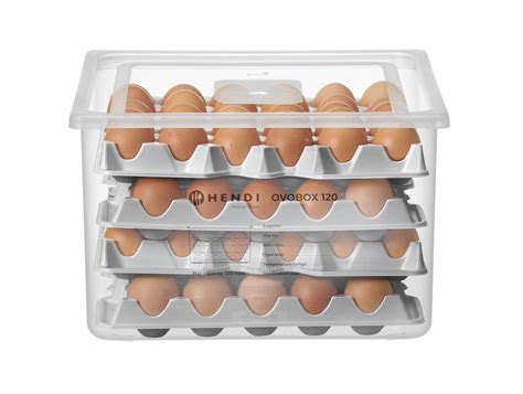 Kiaušinių laikymo rekomendacijos
