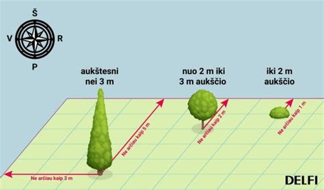 Pavyzdinė schema: medžių ir krūmų sodinimo atstumai nuo sklypo ribos