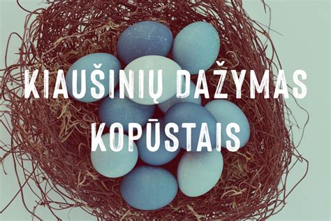 kiausiniu parinkimas ir paruosimas