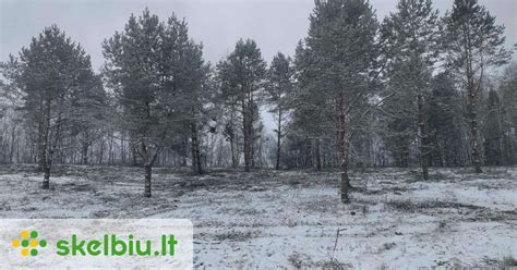 Sodo sklypų panorama Lietuvoje