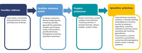 Infrastruktūros problemų schema sodų bendrijose
