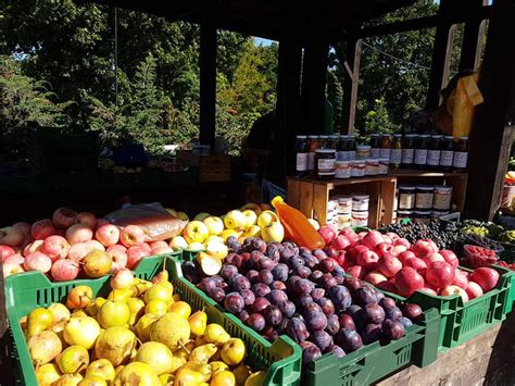 Įvairių rūšių uogienės ir džemai