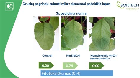 Skirtingų tipų kanelių formų palyginimas