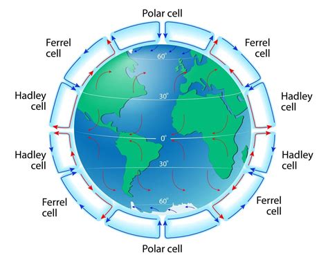 Pagrindinės atmosferos cirkuliacijos celės (Hadley, Ferrel, Poliarinė)