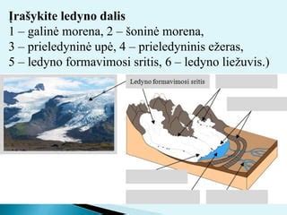 Lietuvos reljefo kalvagūbrių ir žemumų išsidėstymo schema