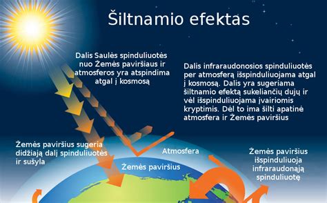 Hadlio ląstelės ir Koriolio efekto schema