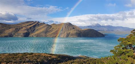 Gvanakai Patagonijoje
