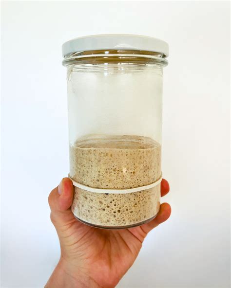 Sourdough raugas stiklainyje