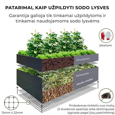 Įvairių lapinių daržovių lysvė