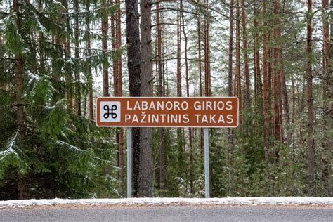 Labanoro girios kraštovaizdis