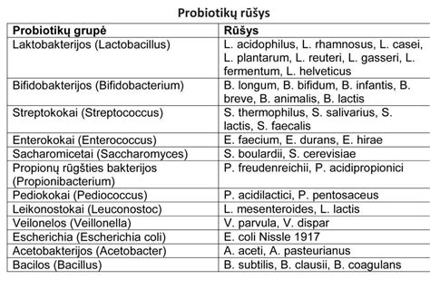 Probiotikų pavyzdžiai mikroskope