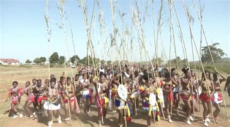 Zulu genties šokio pasirodymas