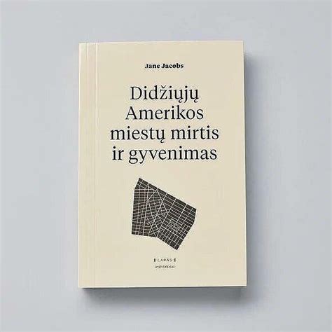 Didžiųjų Pietų Amerikos miestų ir favelų palyginimas