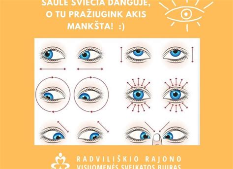 Akių anatomijos schema