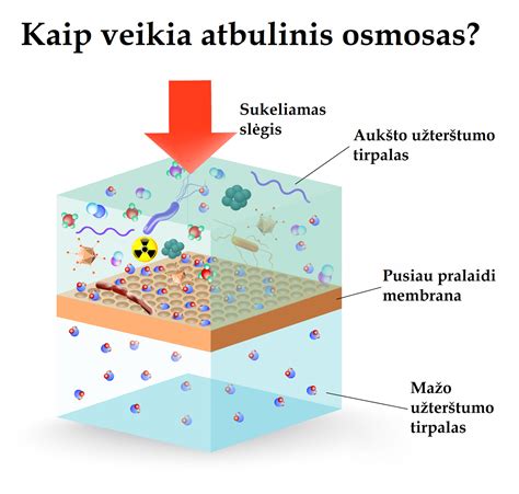 Vandens virimo procesas molekuliniame lygmenyje