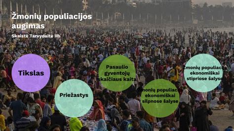 Kregždžių populiacijos mažėjimo priežastys