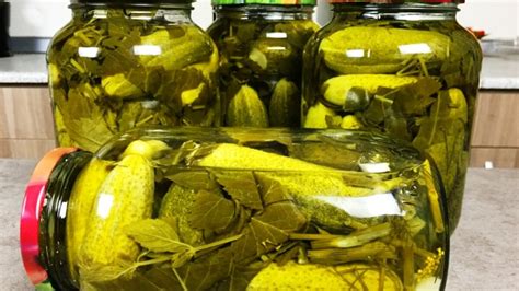 Agurkų rauginimo procesas stiklainyje