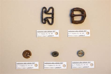 Senovinės varlių figūrėlės, aptiktos archeologinių kasinėjimų metu Pietų Amerikoje