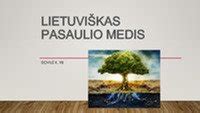 Pasaulio kultūrų gyvūnų simbolika