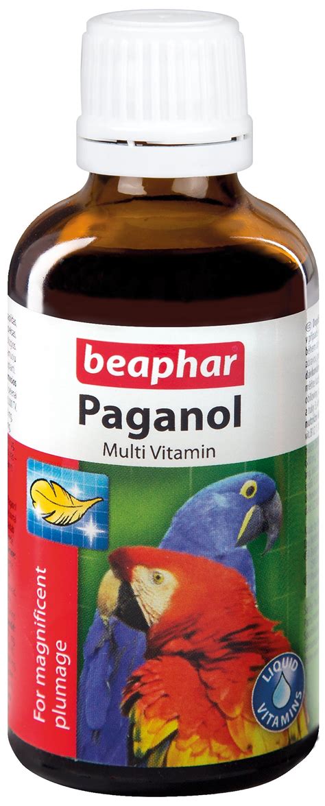 Svarbiausi vitaminai paukščių mityboje