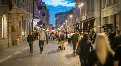 Naktinis Vilniaus miesto vaizdas