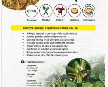Gyvulininkystės ir sojų auginimo plėtra Amazonės regione