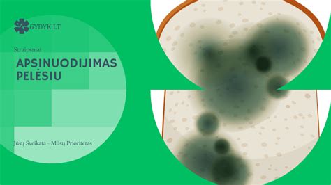 Apsinuodijimo pelėsiu simptomų grafikas