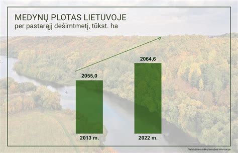 Vidutinių platumų miško schema