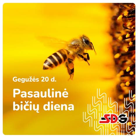Pasaulinė bičių duonos rinkos diagrama