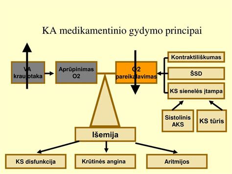 NaPro technologijos gydymo principai ir stebėjimas