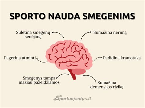 Sporto nauda ilgaamžiškumui ir sveikatai